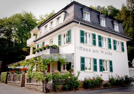 Pension "Haus Am Walde" Brodenbach, Mosel Exterior foto