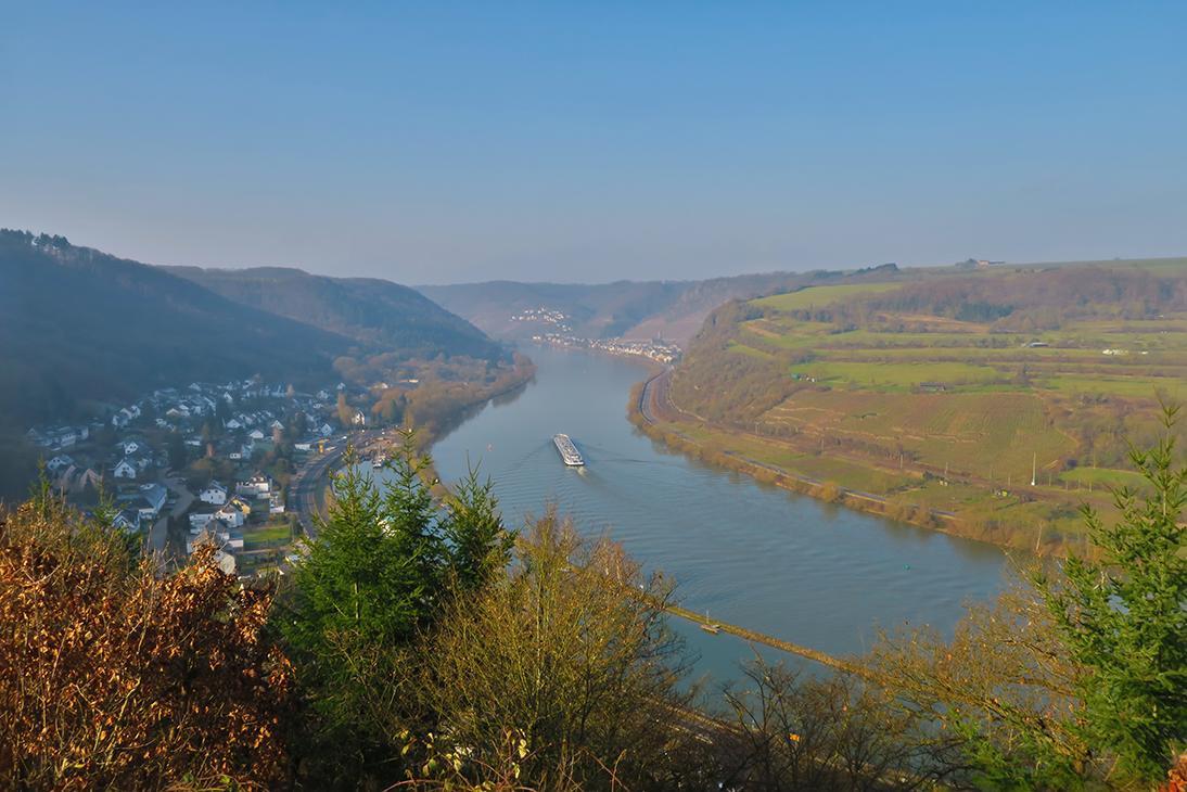 Pension "Haus Am Walde" Brodenbach, Mosel Exterior foto