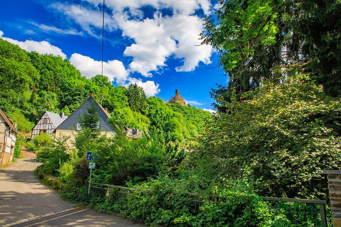 Pension "Haus Am Walde" Brodenbach, Mosel Exterior foto