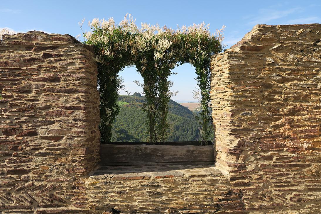 Pension "Haus Am Walde" Brodenbach, Mosel Exterior foto